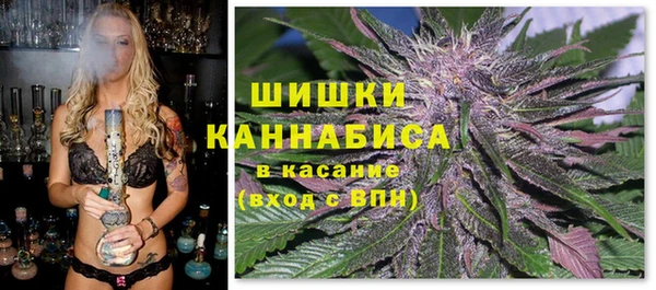 соль ск Алзамай