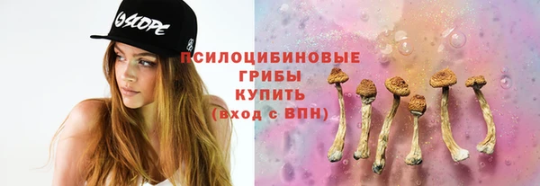 соль ск Алзамай