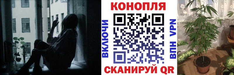 Каннабис планчик  что такое   Энем 